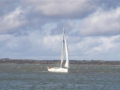 Picture 19